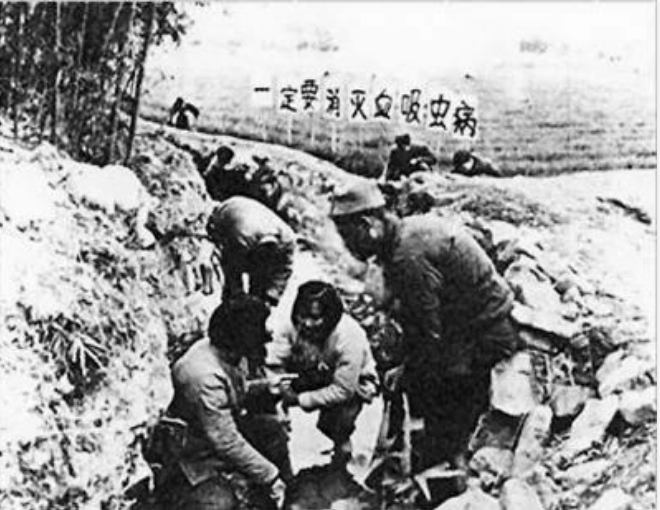 1586744275293691.png image.png