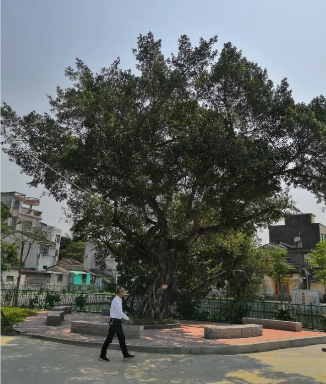 1586941456134904.png image.png