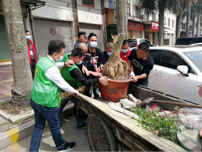 1589351874132421.png image.png