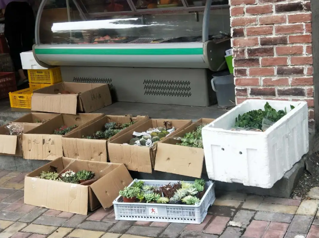 1590142287913822.png image.png