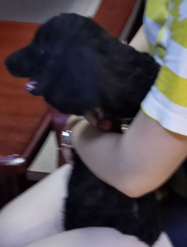 1597654902814333.png 微信圖片_20200817165844.png