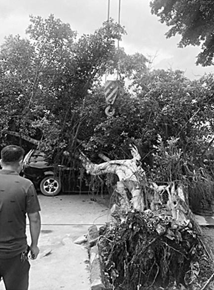 1599124929122081.png 微信截圖_20200903172154.png