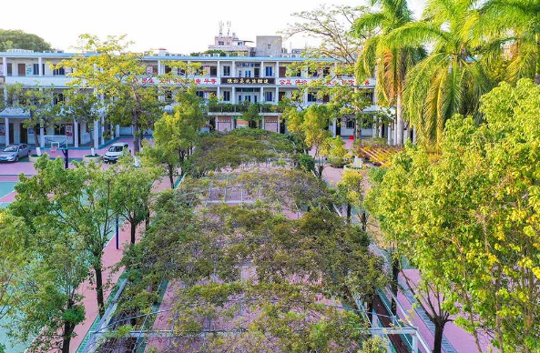 1608285259119219.png image.png