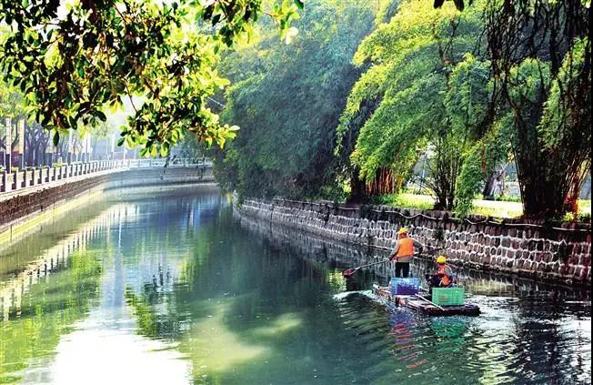 1609909113119387.jpg 9.jpg