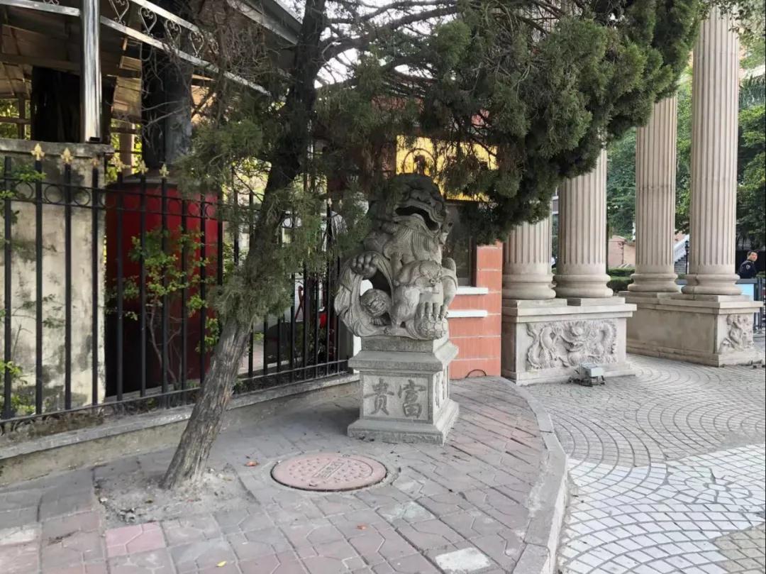 1611041816119374.jpg 2.jpg