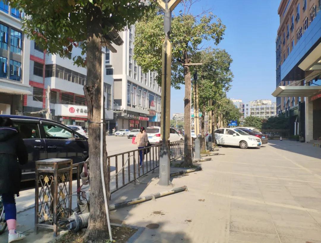 1611041865106073.jpg 3.jpg