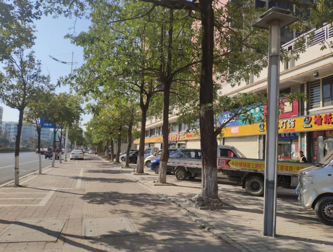 1611041911100797.jpg 4.jpg