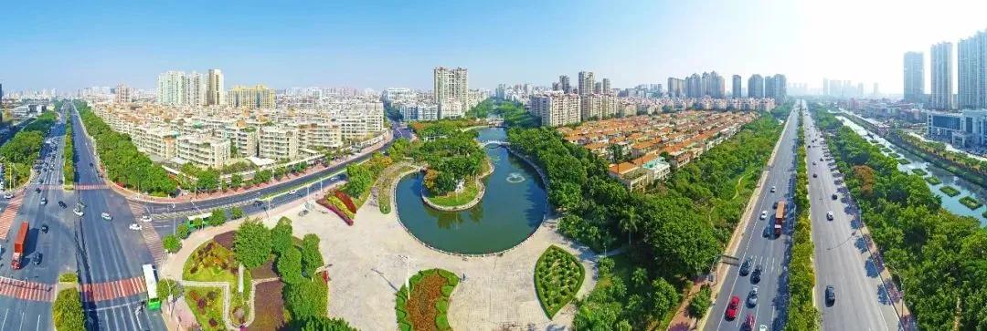 1612253446126771.jpg 1.jpg