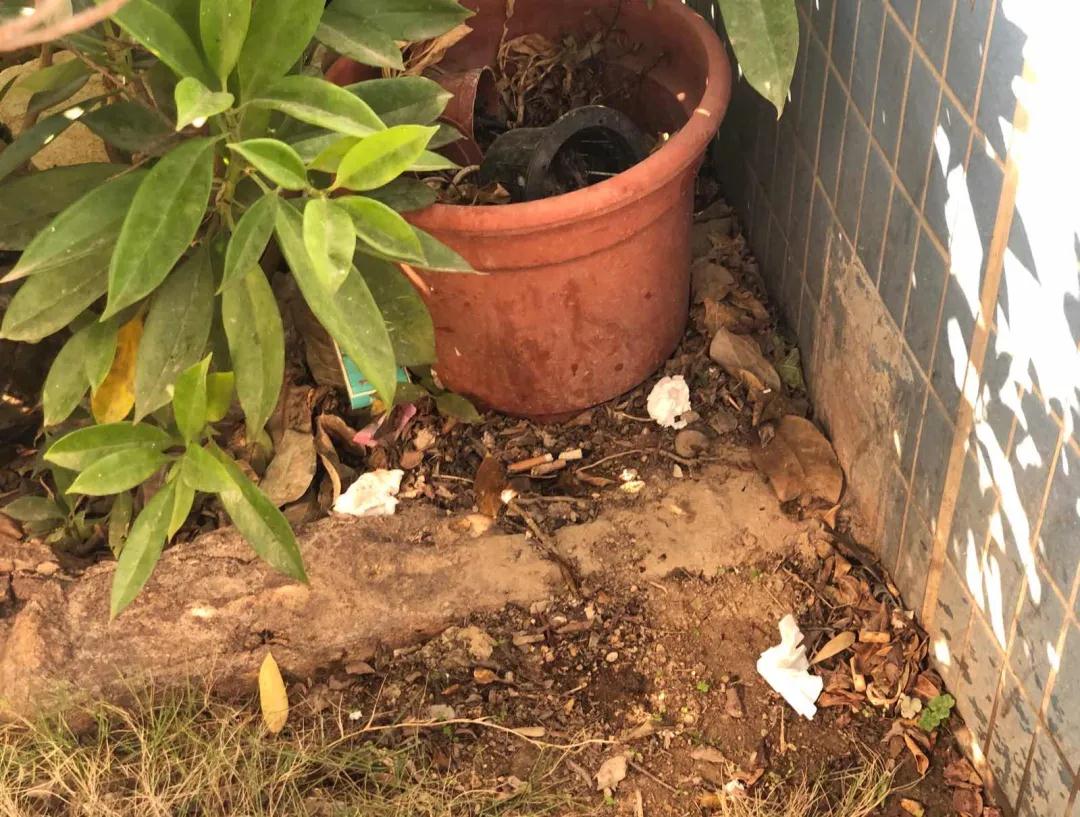 1612781177174063.jpg 3.jpg