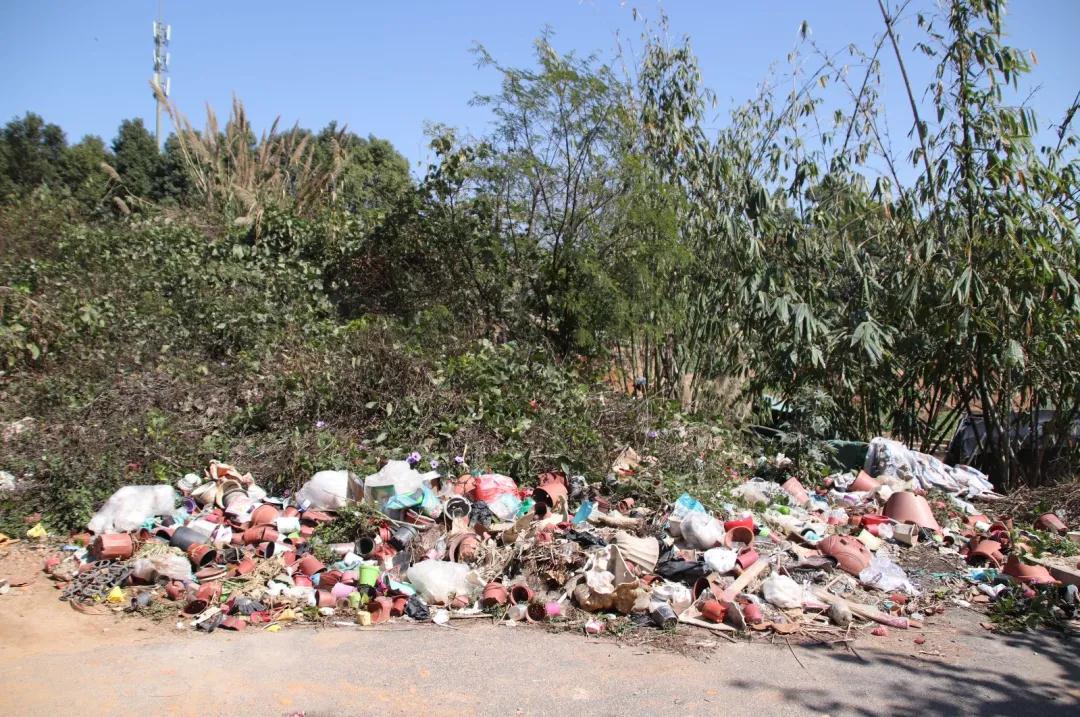 1613638933116000.jpg 1613638933116000.jpg