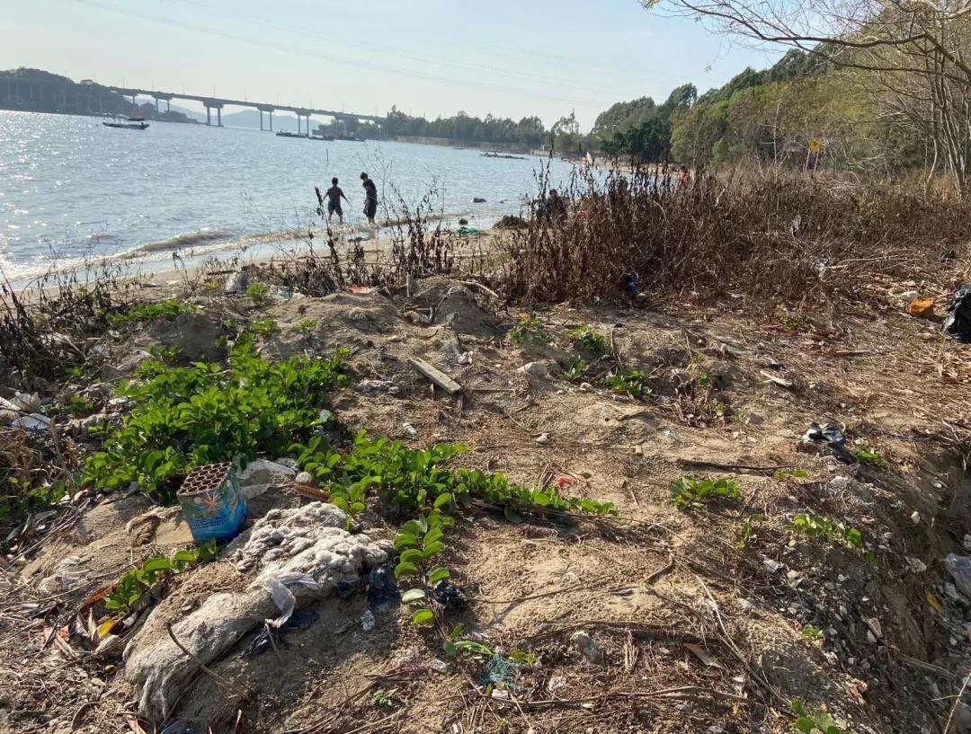 1613639410100776.jpg 1613639410100776.jpg