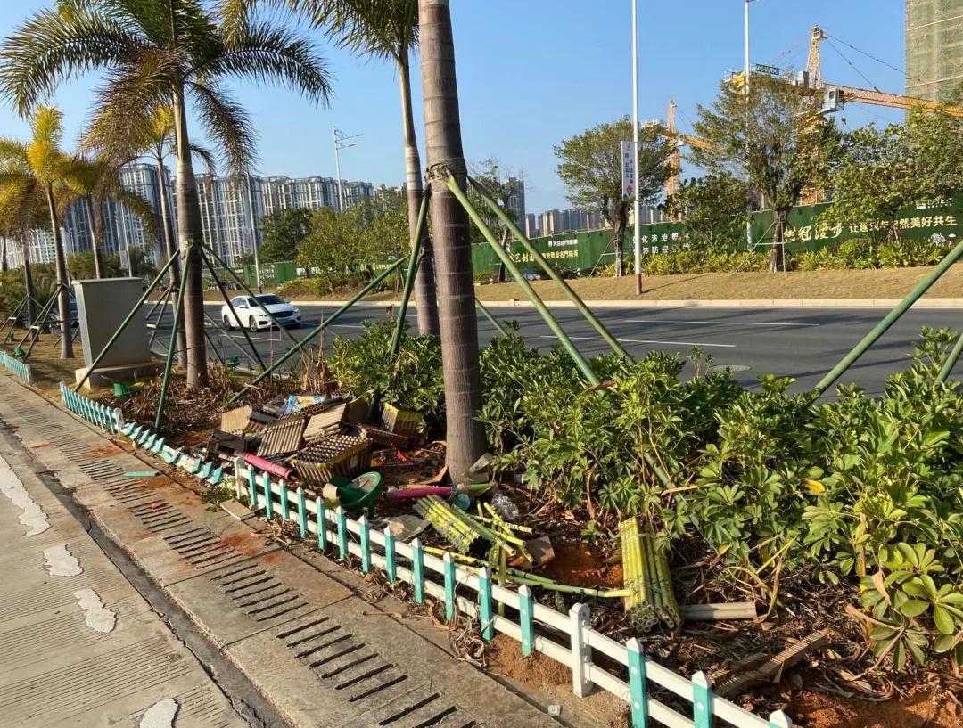 1613639429250143.jpg 1613639429250143.jpg