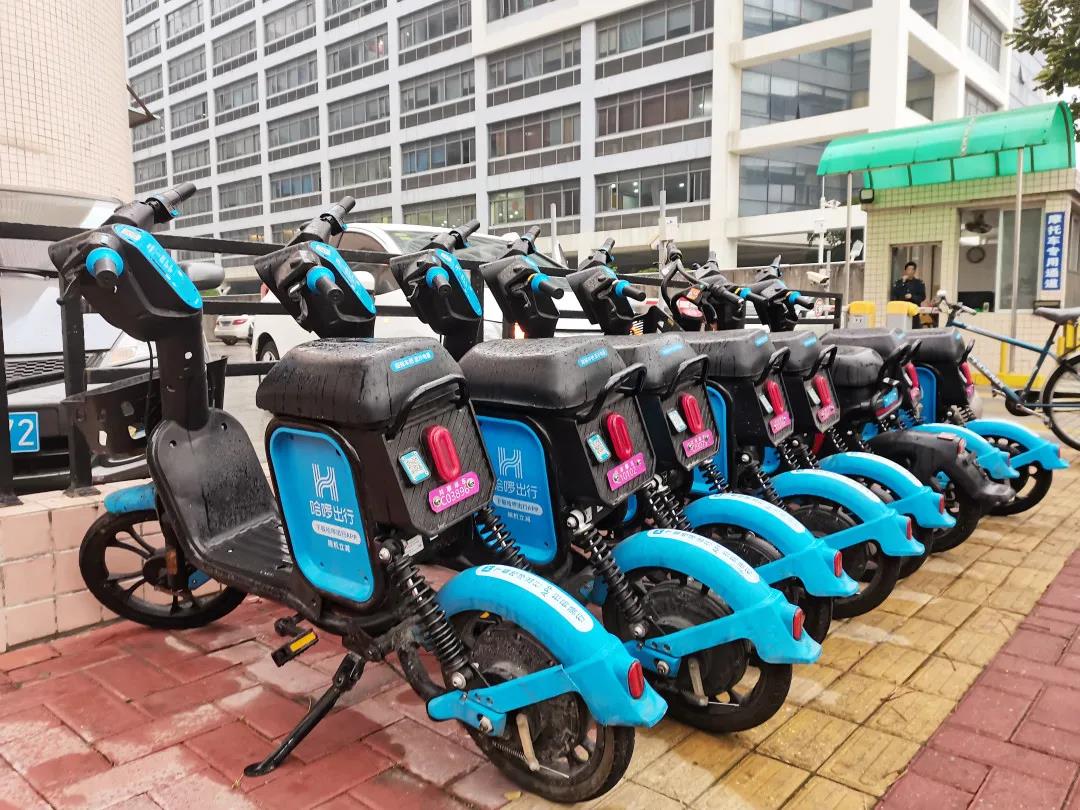 1615302758549085.jpg 1615302758549085.jpg