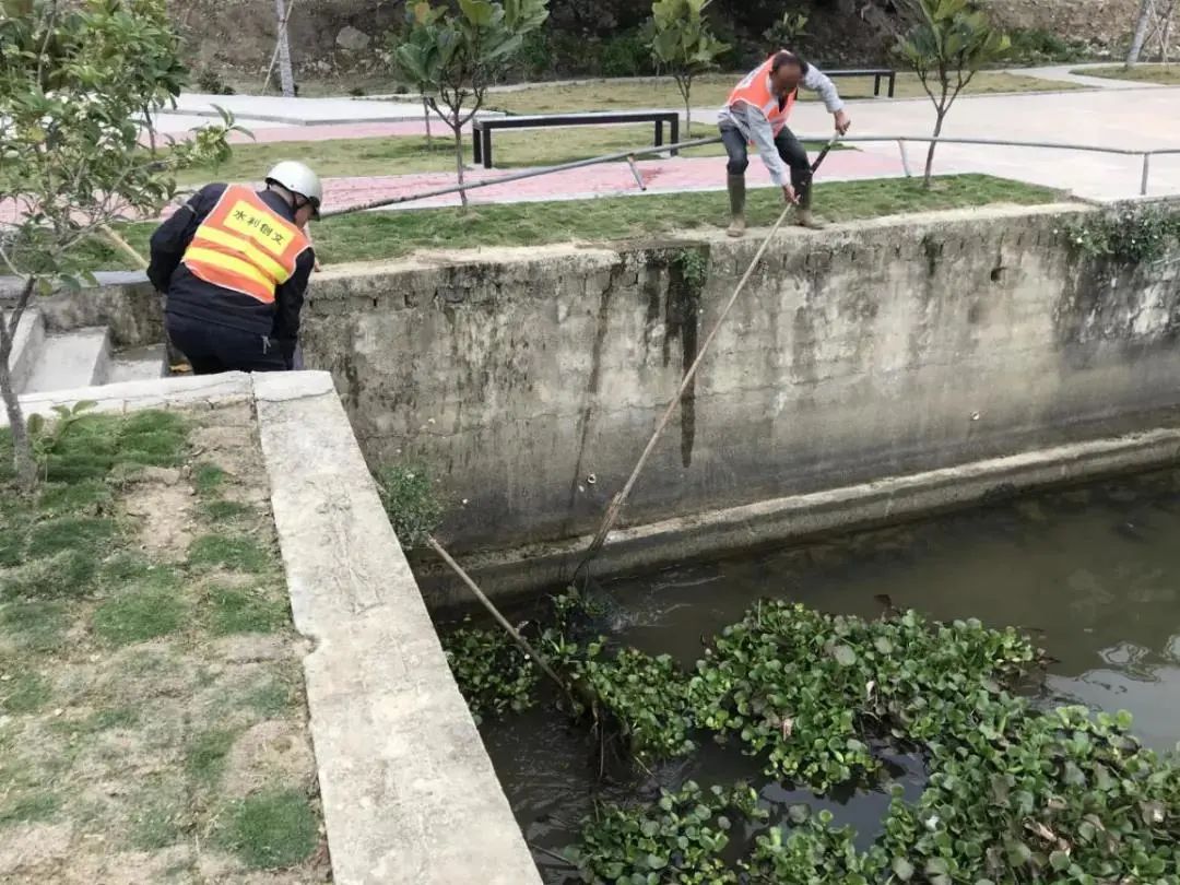 1615439578119843.jpg 1615439578119843.jpg