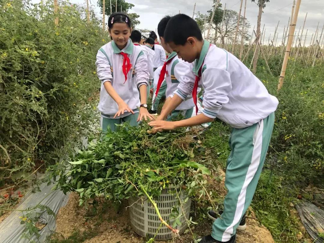 1615797080122541.jpg 1615797080122541.jpg