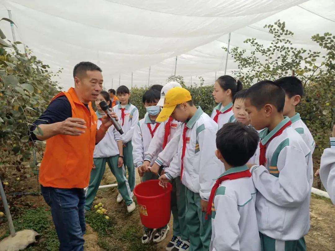 1615797080422873.jpg 1615797080422873.jpg