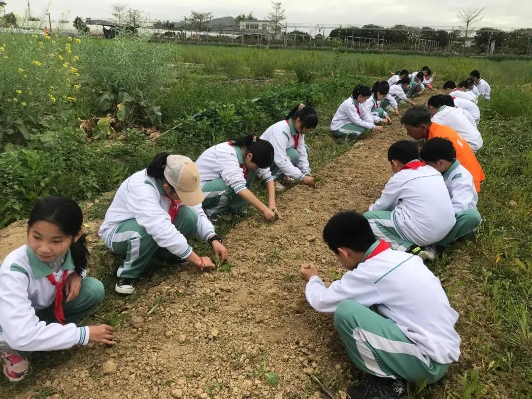 1615797080866530.jpg 1615797080866530.jpg