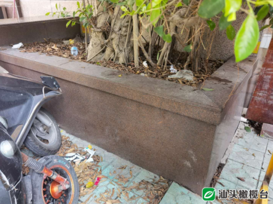 1627608648107691.png 6.png