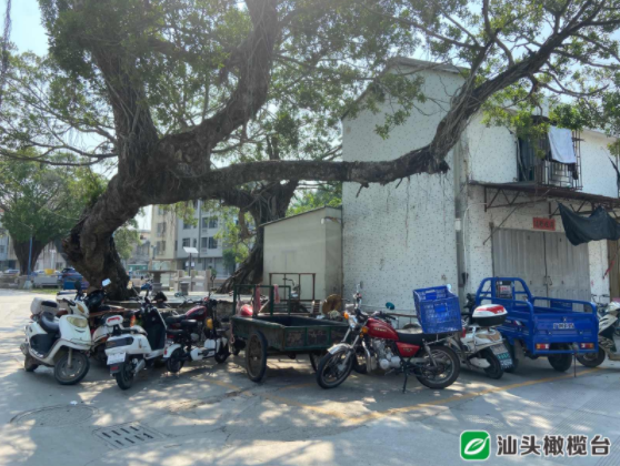 1627608659864938.png 7.png