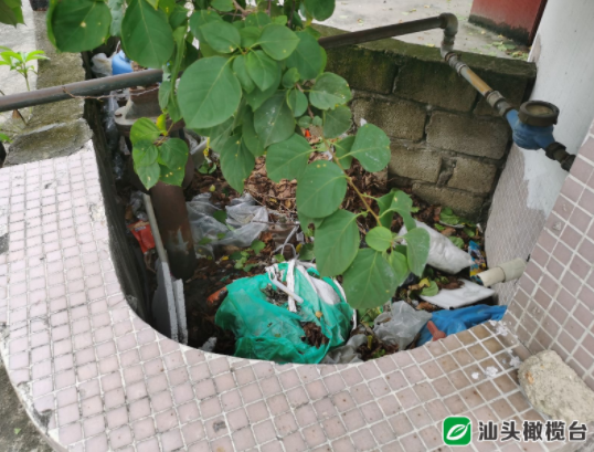 1628562199959350.png 6.png