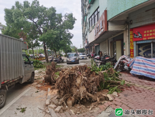 1628562250308064.png 10.png