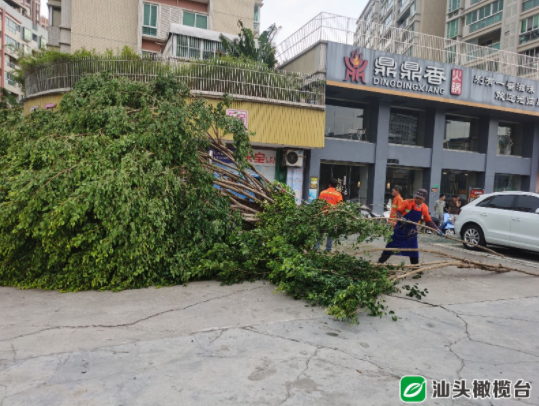 1628562274100625.png 12.png