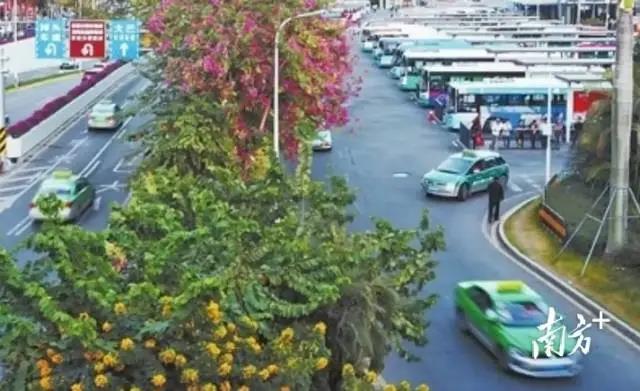 1629166463132301.jpg 5.jpg