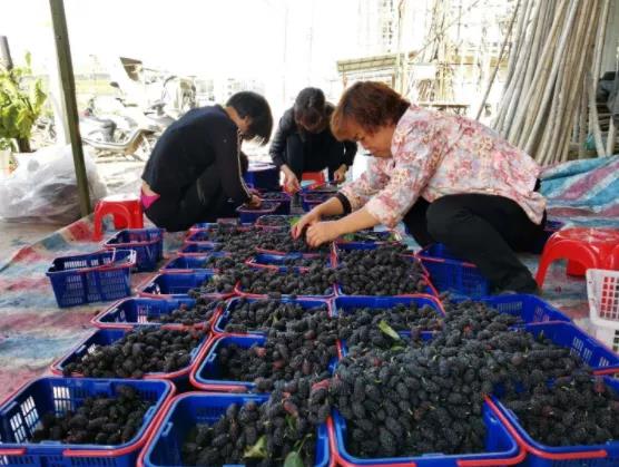 1629769502938652.jpg 2.jpg