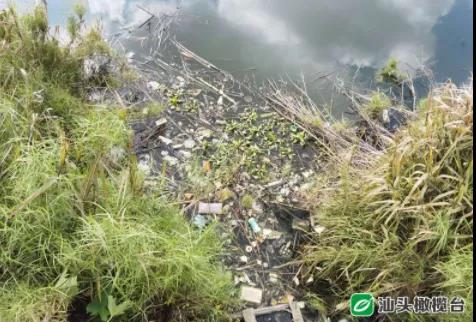 1630288362562769.jpg 2.jpg