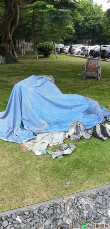 1630547367809040.jpg 1.jpg