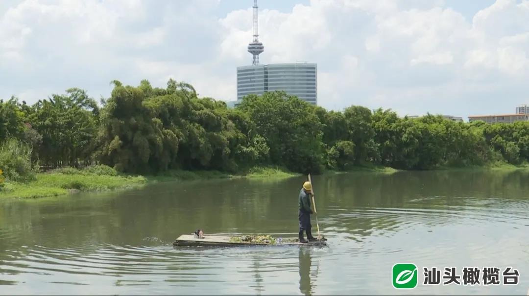 1630909885635923.jpg 3.jpg