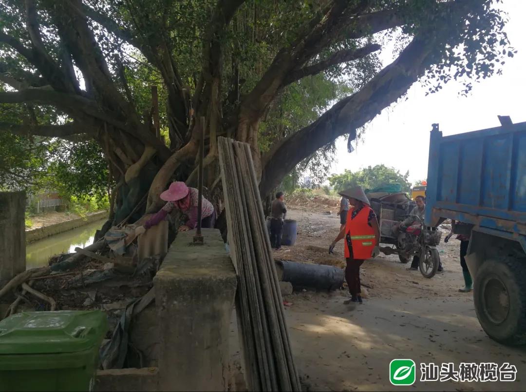 1631068658280997.jpg 3.jpg