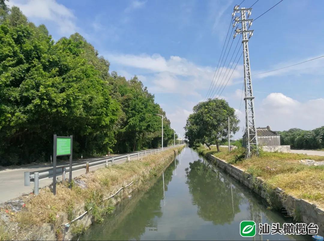 1631068691935898.jpg 6.jpg