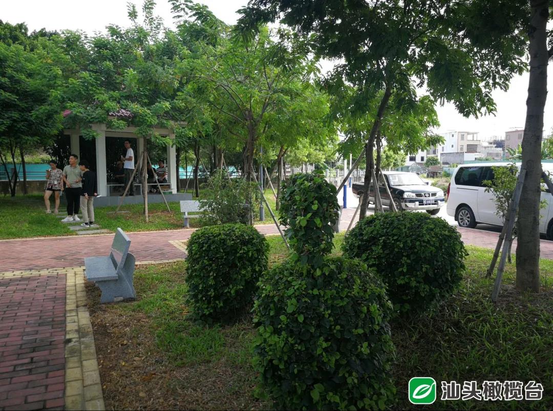 1631152660441075.jpg 1.jpg