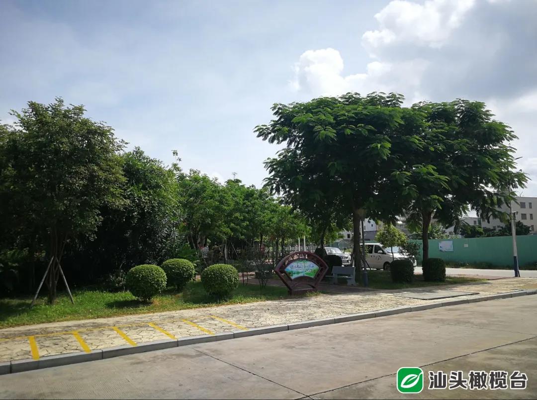 1631152674719061.jpg 2.jpg