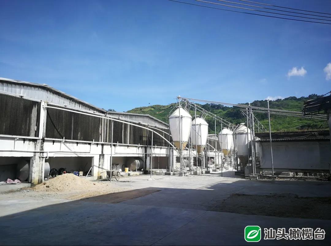 1631152690252553.jpg 3.jpg