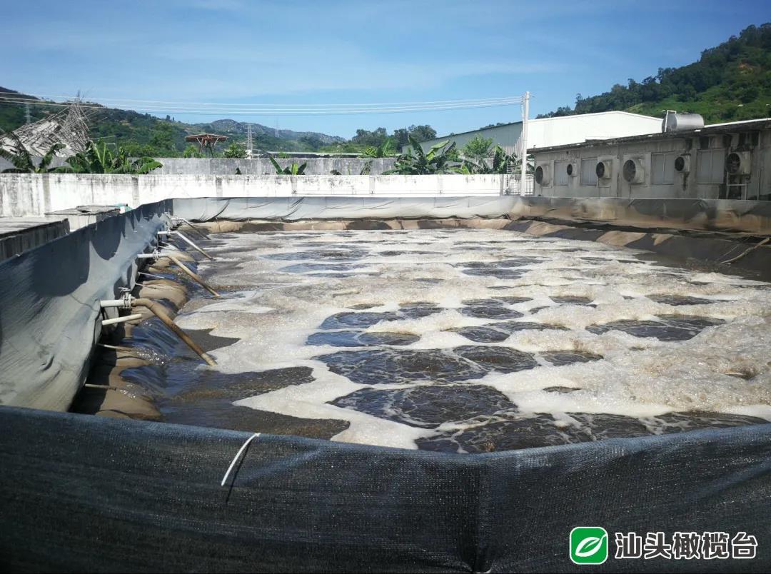 1631152703121444.jpg 4.jpg