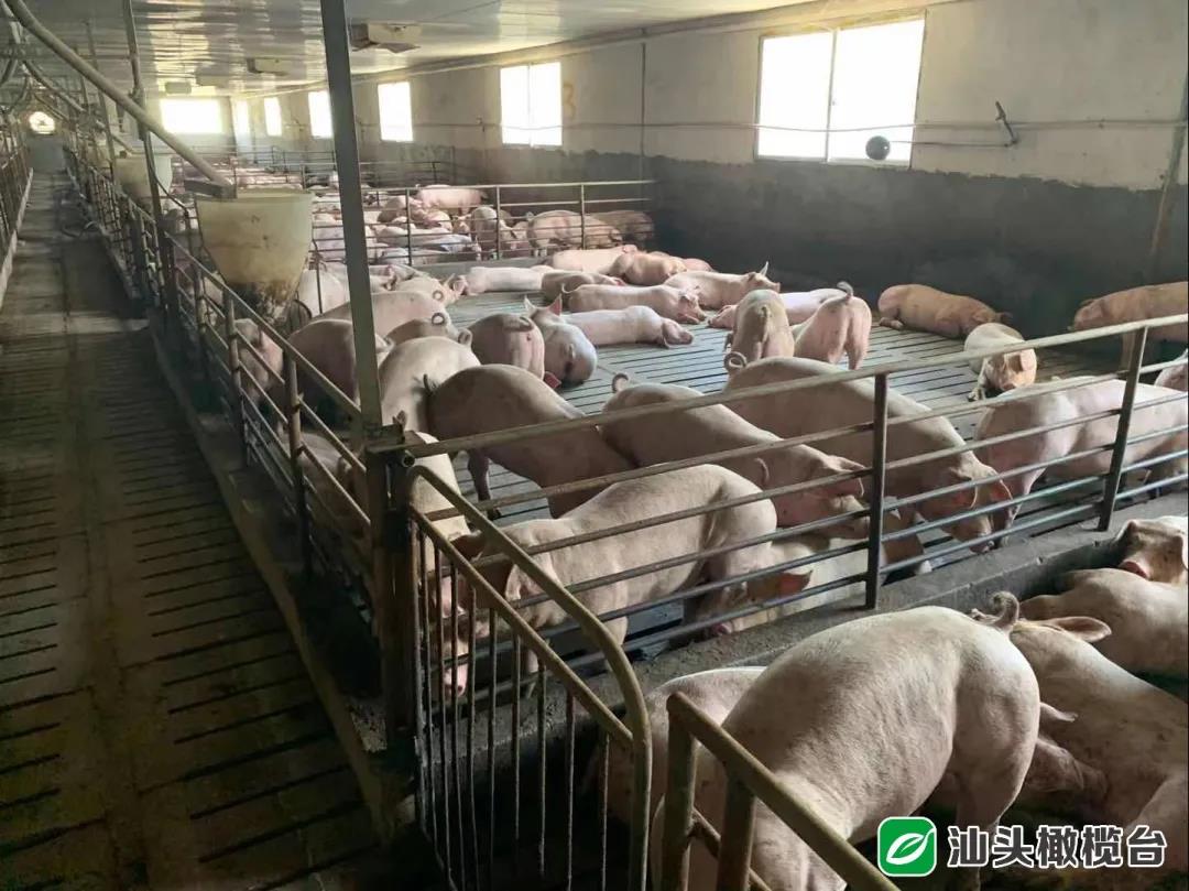 1631152716730894.jpg 5.jpg