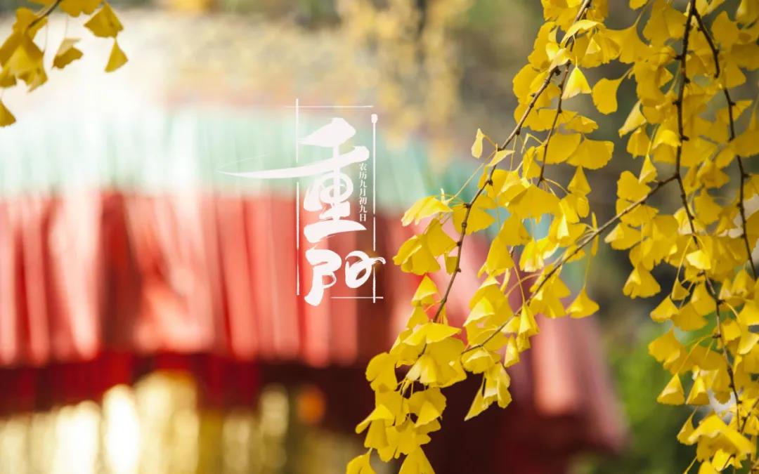 1634267837527784.jpg 1.jpg