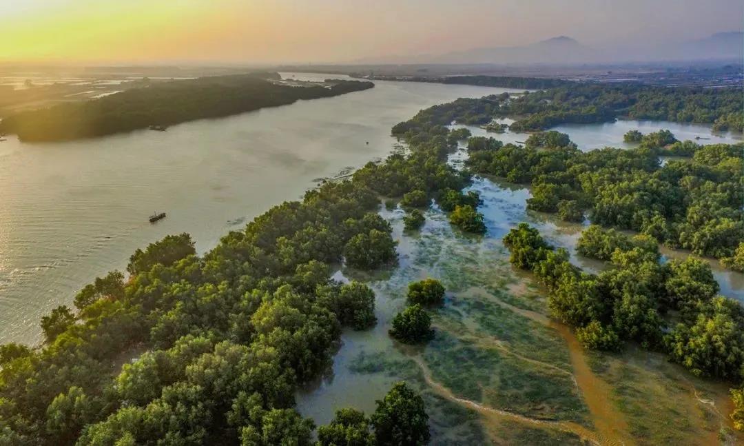 1634530458395031.jpg 4.jpg