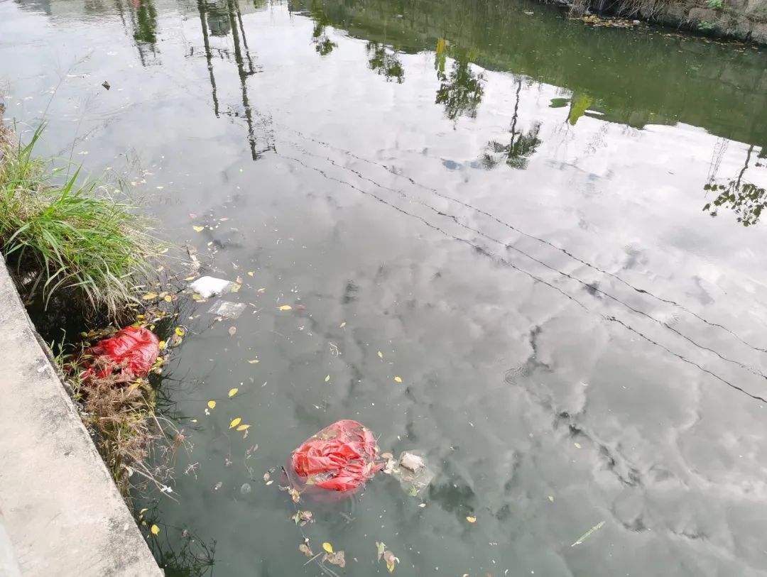 1635307502131332.jpg 1.jpg