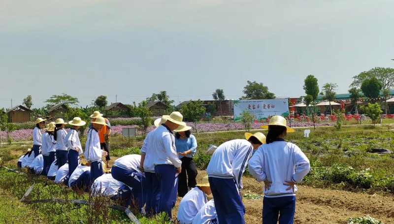 1638692802804220.jpg 6.jpg