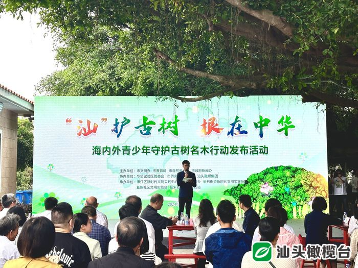 1711958486484463.jpg 1711958480013.jpg