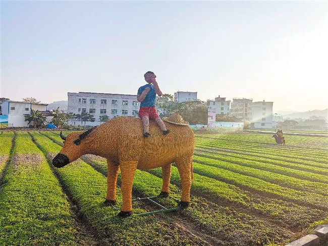 1736815179552148.jpg 1.jpg