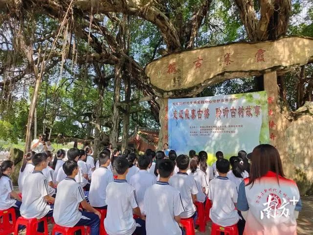 1742519800763428.png 1742519800763428.png