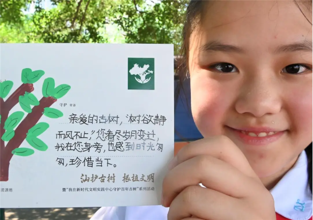 1767923306690858.png 2.png