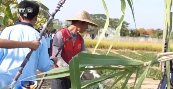 1770020776666178.png 1111111111111111111111111111.png