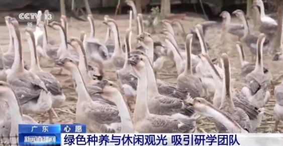 1770020786346859.png 222222222222222222222222.png