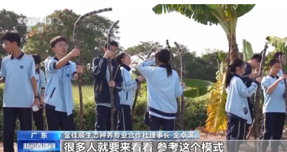 1770020801975111.png 33333333333333333.png