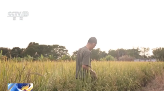 1770020826872523.png 5555555555555555.png